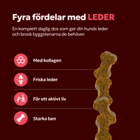 LEDER
