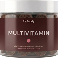 TEDDY MULTIVITAMIN