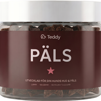 TEDDY PÄLS
