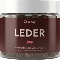 TEDDY LEDER